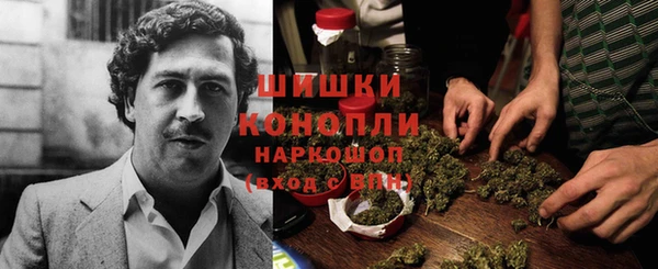 трава Инта