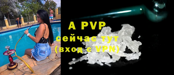 трава Инта